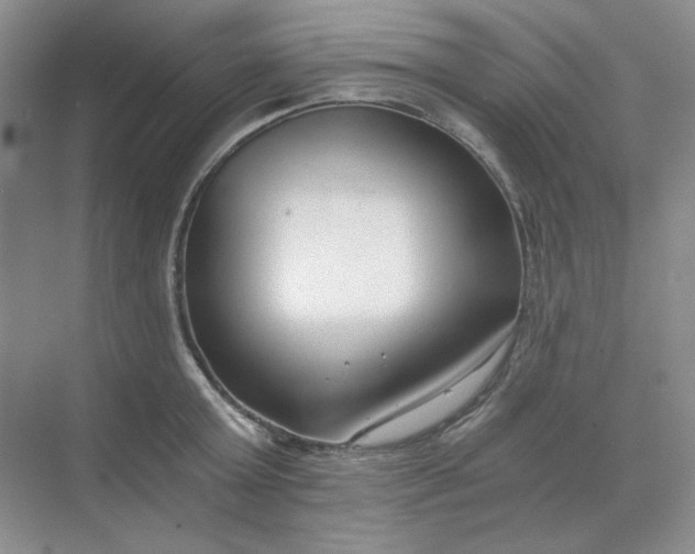 X0000068810803200605191805