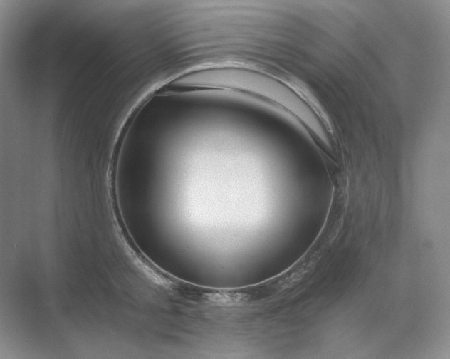 X0000068810805200605191805