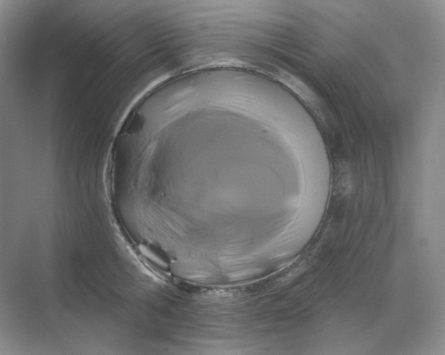 X0000068810806200605191805