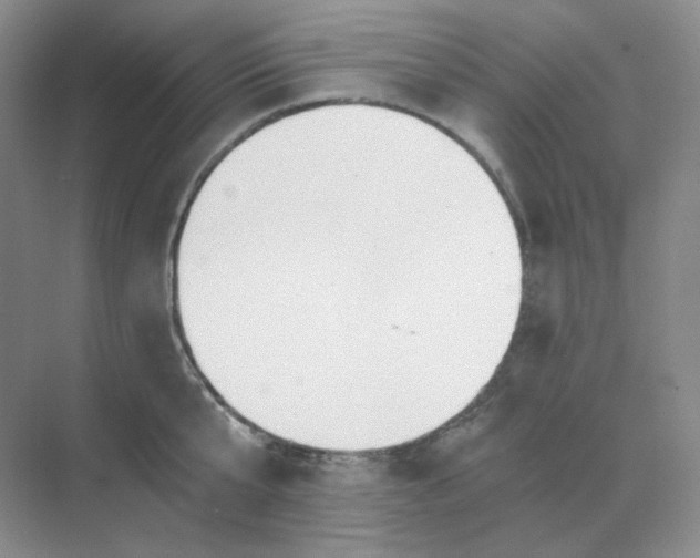 X0000068810807200605191805