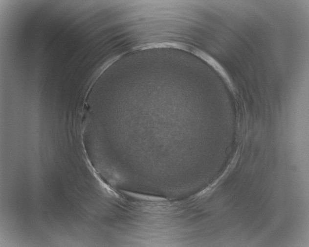 X0000068810809200605191805