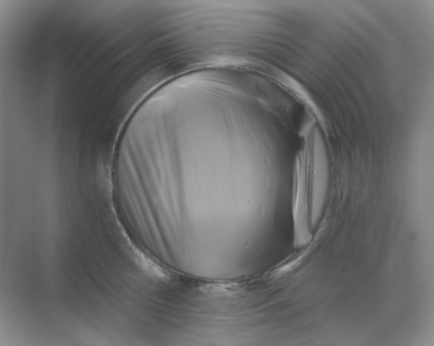 X0000068810810200605191805