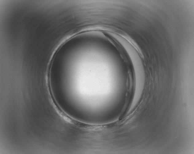 X0000068810813200605191805