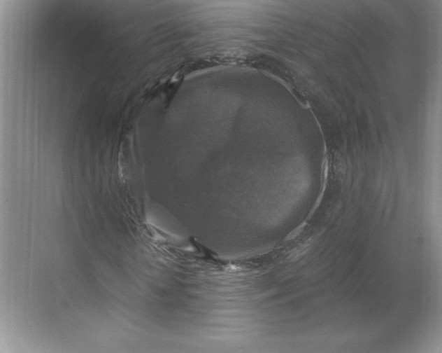 X0000068810818200605191804