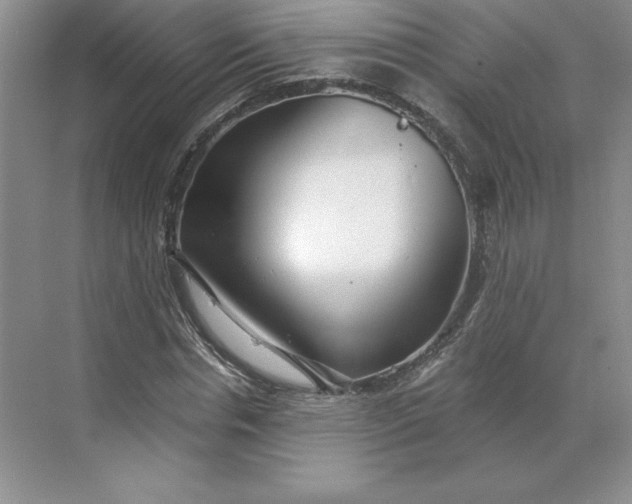 X0000068810826200605191805
