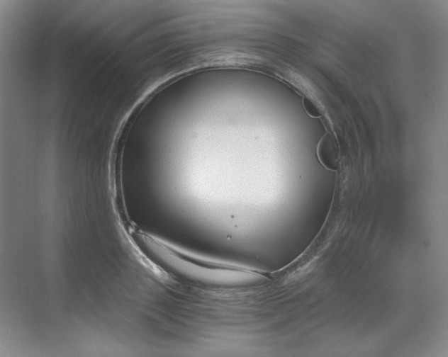 X0000068810843200605191805