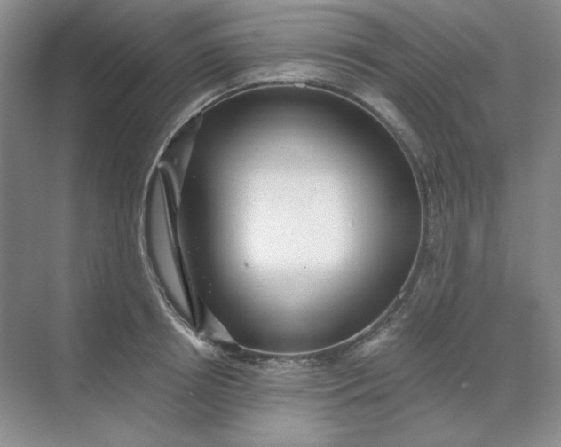 X0000068810850200605191805
