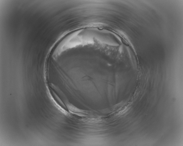X0000068810851200605191805