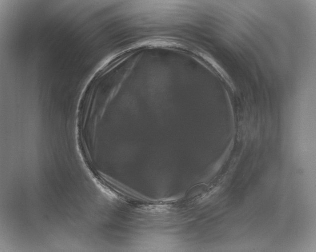 X0000068810853200605191805