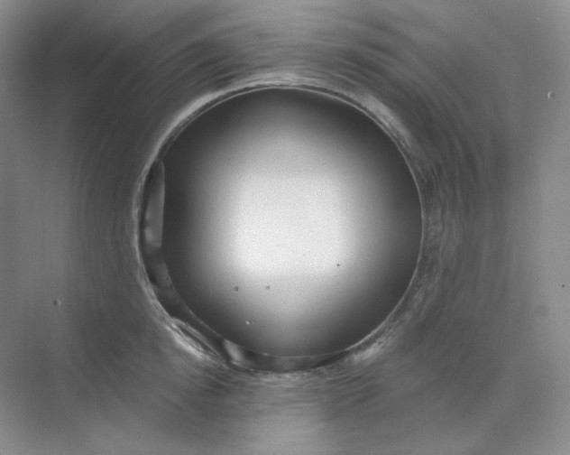 X0000068810854200605191805