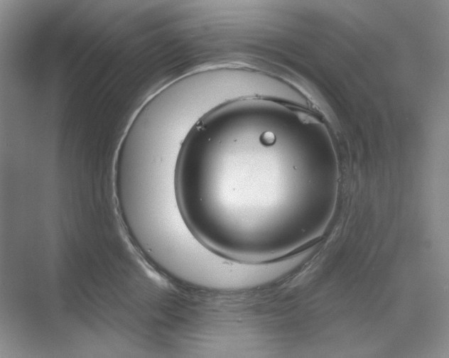 X0000068810858200605191805