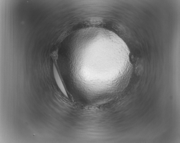X0000068810866200605191804