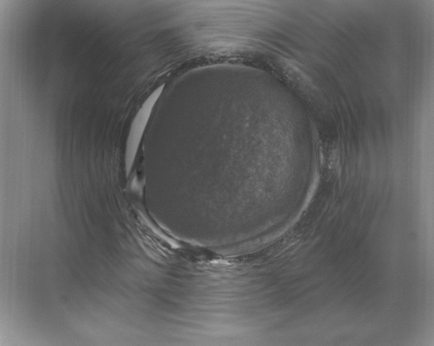 X0000068810868200605191804