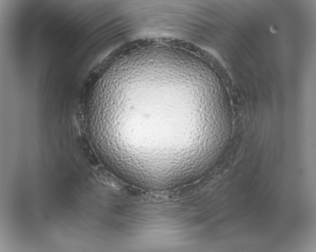 X0000068810871200605191804