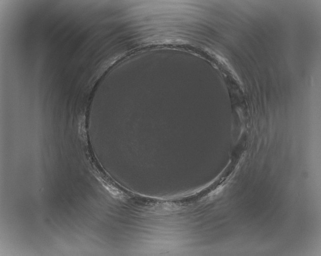 X0000068810881200605191804