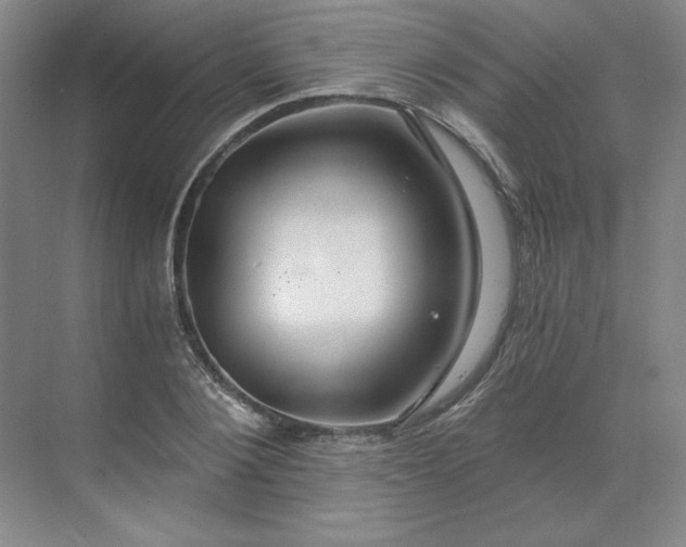 X0000068810884200605191804