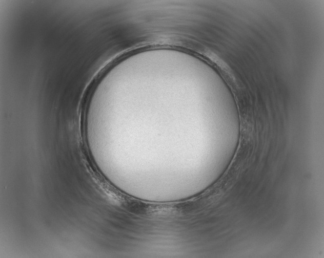 X0000068810886200605191804