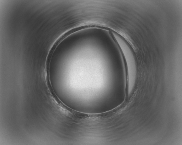 X0000068810888200605191804