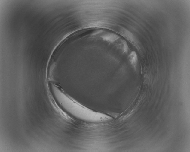 X0000068810892200605191804