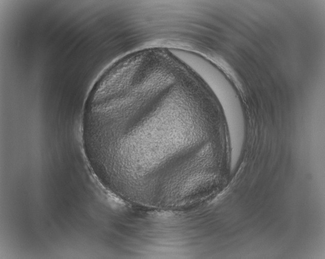 X0000068810896200605191804