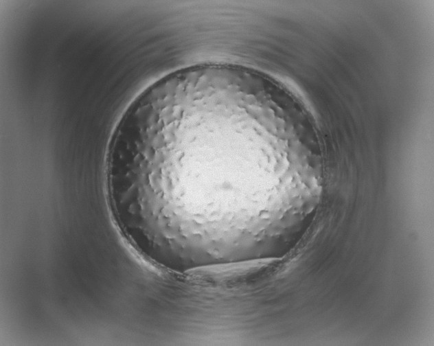X0000068810903200605191804