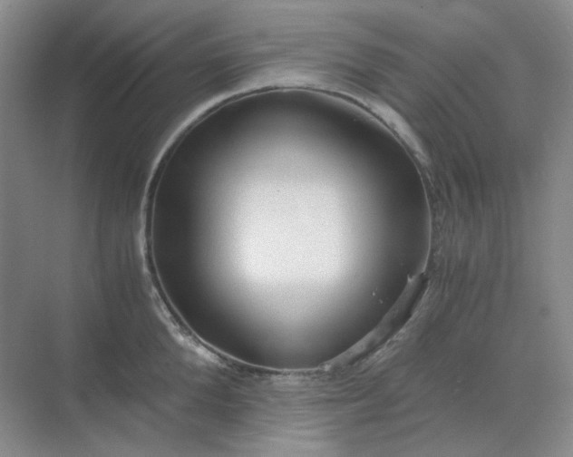 X0000068810904200605191804