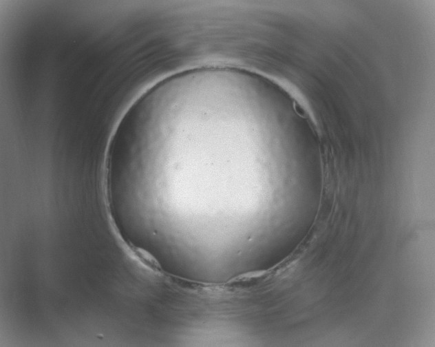 X0000068810911200605191804