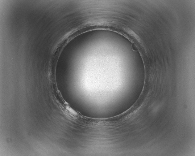 X0000068810922200605191803