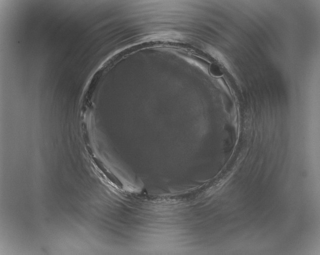 X0000068810923200605191803