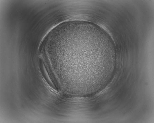 X0000068810925200605191803