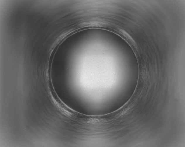 X0000068810938200605191803