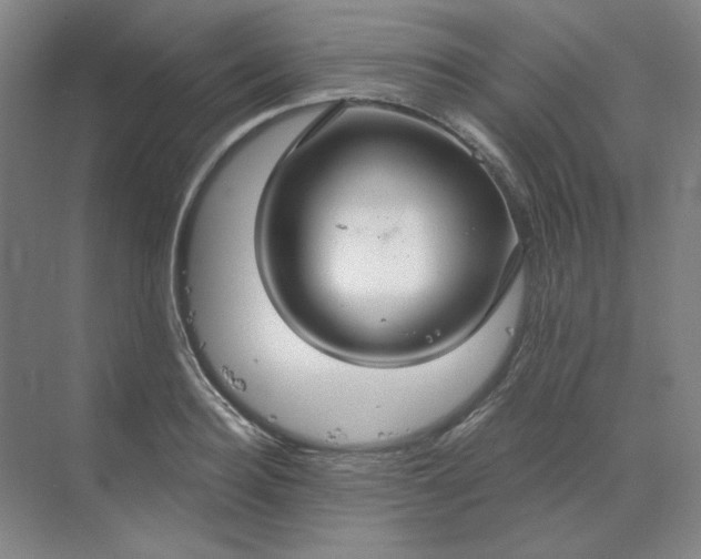 X0000068810940200605191803