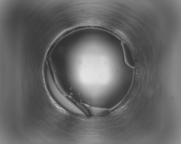 X0000068810942200605191803