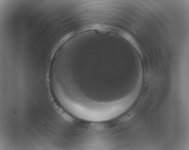 X0000068810954200605191803