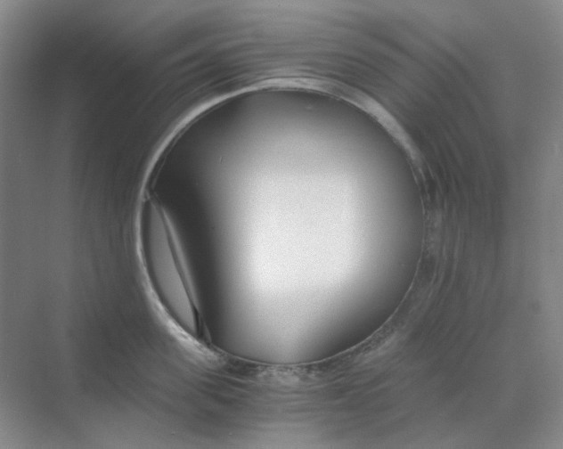 X0000068810955200605191804