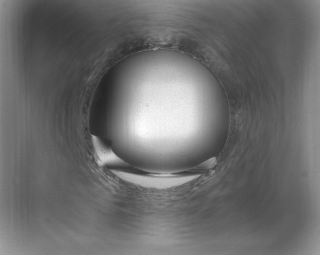X0000068810961200605191803