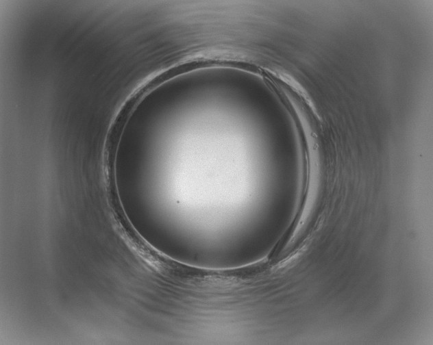 X0000068810981200605191802