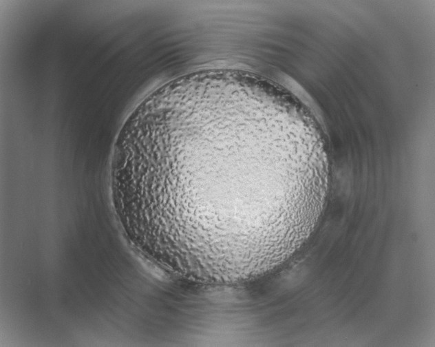 X0000068811002200605191802