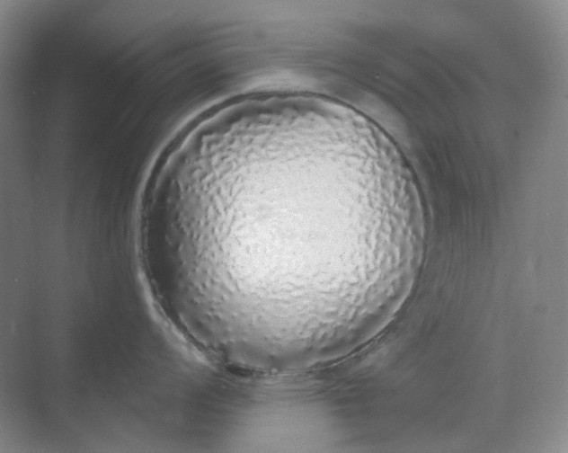X0000068811008200605191802