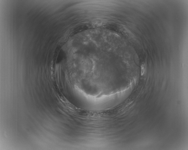 X0000068811011200605191801