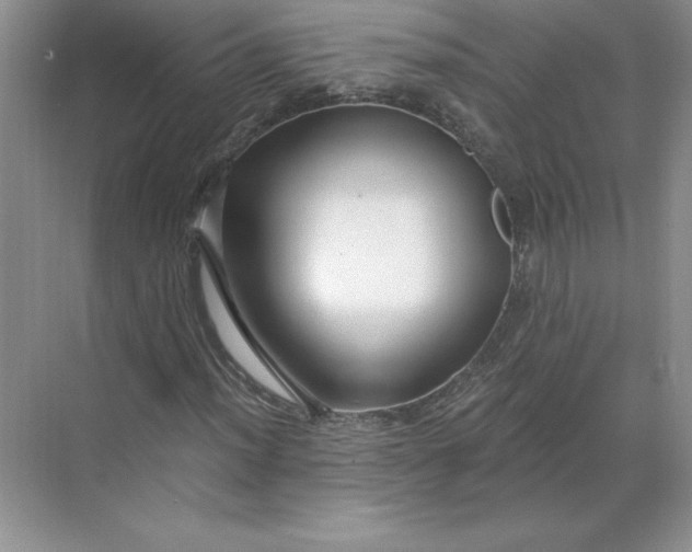 X0000068811012200605191801