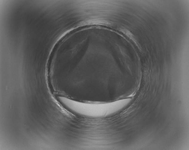 X0000068811024200605191801