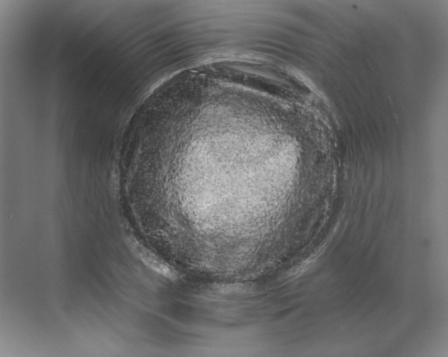 X0000068811025200605191801