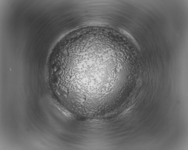 X0000068811027200605191801