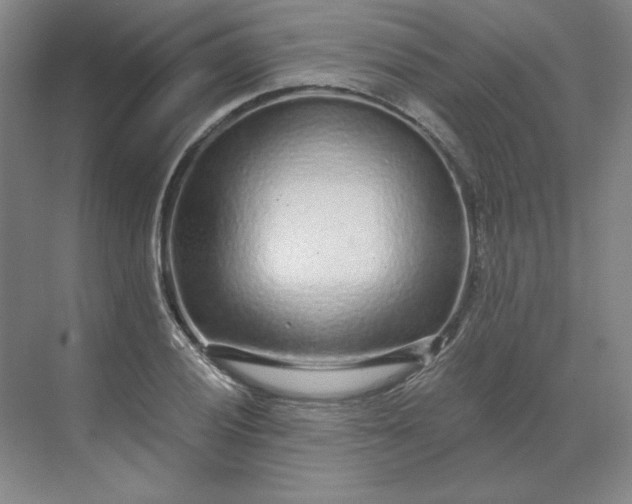 X0000068811028200605191802