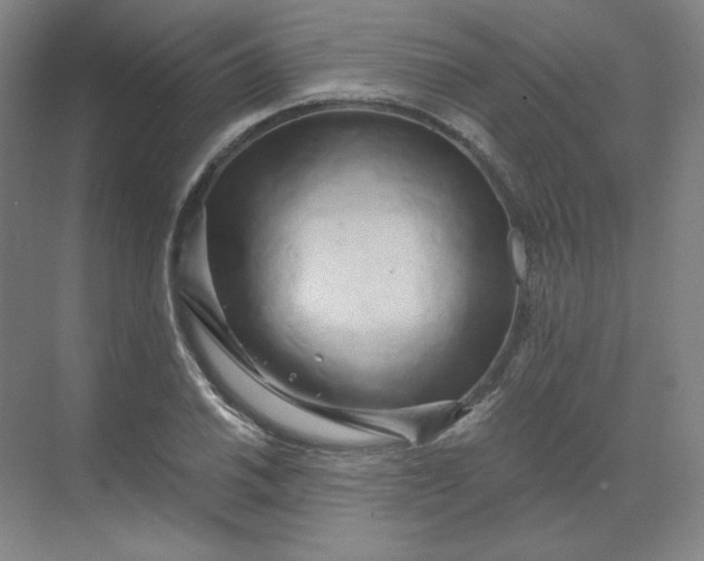 X0000068811030200605191802