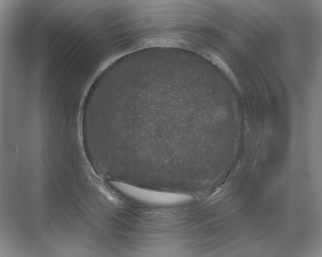 X0000068811035200605191802