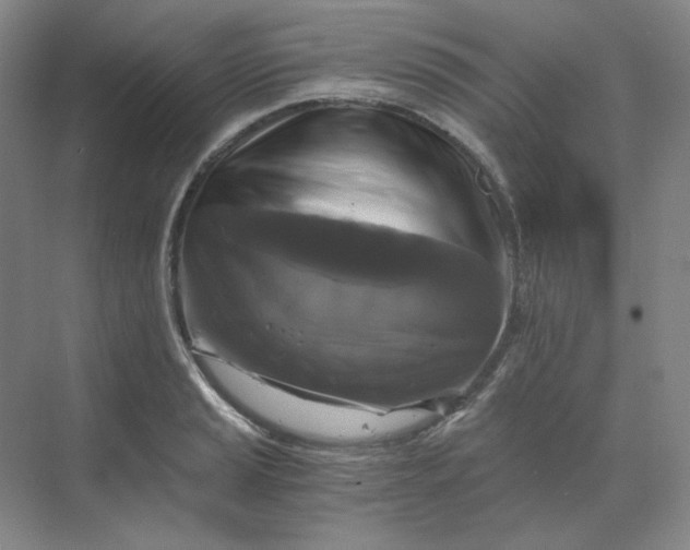 X0000068811037200605191802