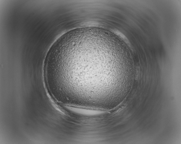 X0000068811039200605191802
