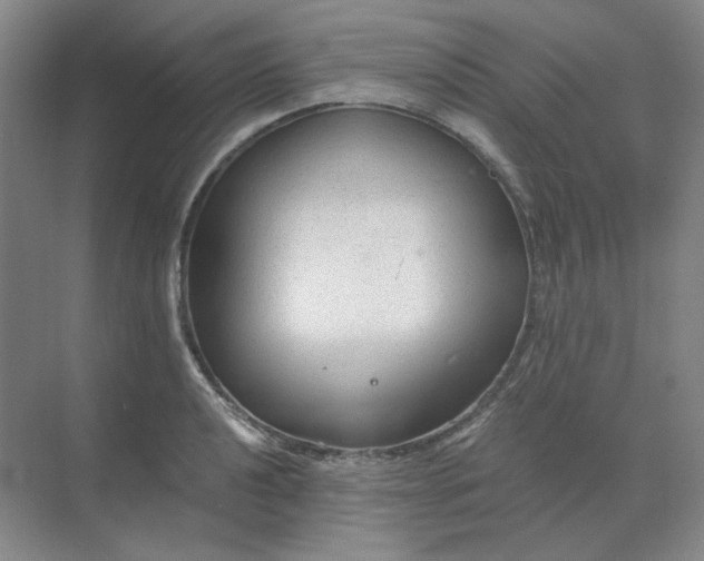 X0000068811040200605191802